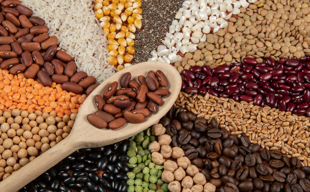 Grain and agricultural logistics